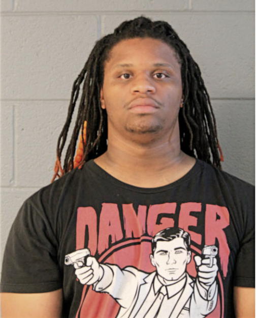 CHRISTOPHER J JOHNSON, Cook County, Illinois