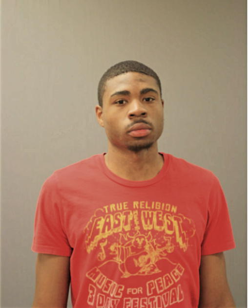 TERRANCE L JOHNSON, Cook County, Illinois