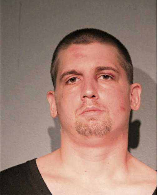 WESLEY R LANGLEY, Cook County, Illinois