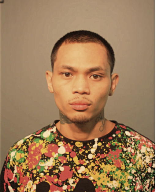 CRISANTO J LEVY, Cook County, Illinois