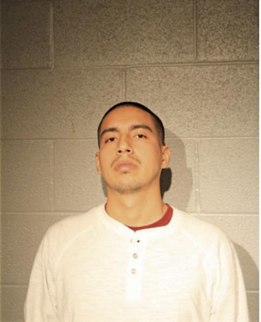 GUSTAVO LUNA, Cook County, Illinois