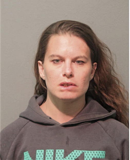 MELISSA A METZ, Cook County, Illinois