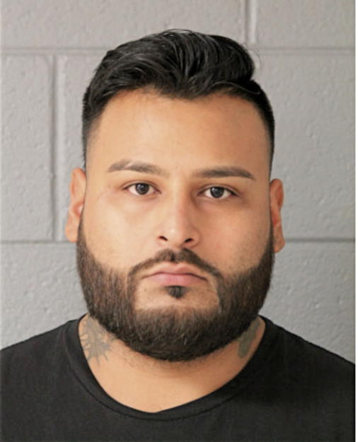 SESAR NAVARRETE, Cook County, Illinois