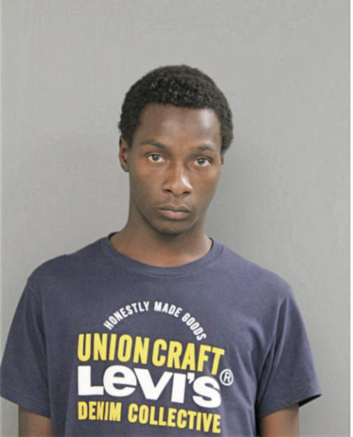 LAMONT G PETERS, Cook County, Illinois