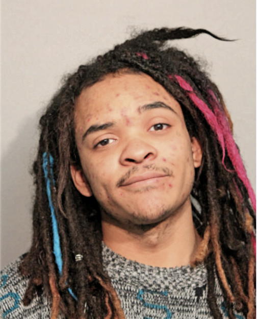 CHRISTOPHER L SKAGGS, Cook County, Illinois