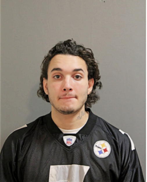 NELSON VASQUEZ, Cook County, Illinois