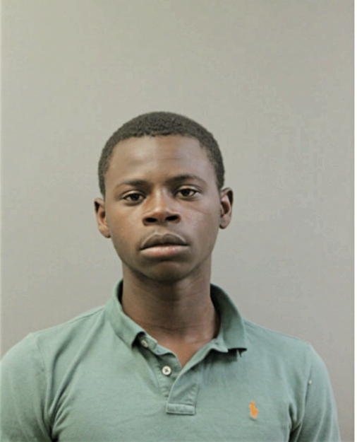 ROBERT A WOODS, Cook County, Illinois