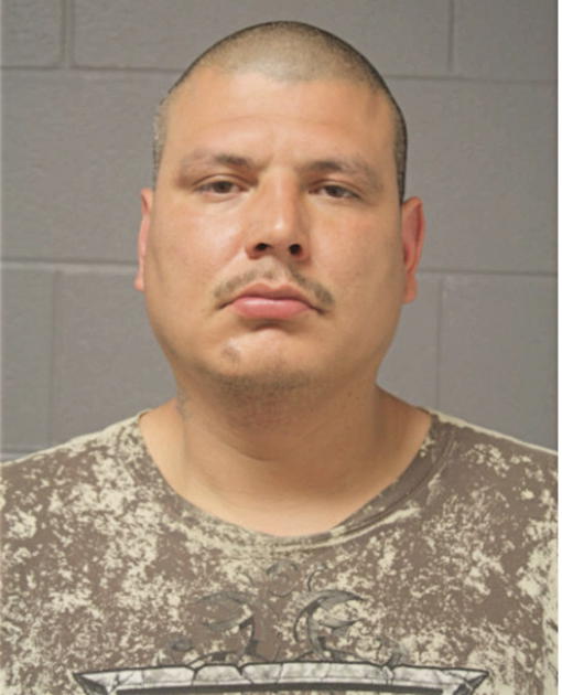 JESSE ANAYA, Cook County, Illinois