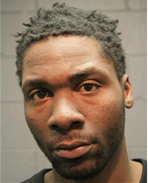 TRIMAINE R ANDERSON, Cook County, Illinois