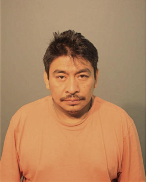 IRINEO CRUZ, Cook County, Illinois