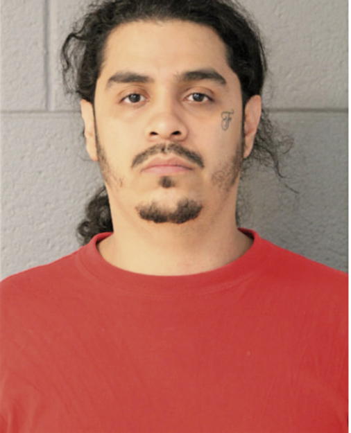 JOSUE M DE ALBA, Cook County, Illinois