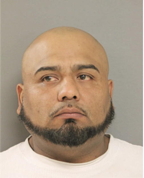 GERARDO DIRZO, Cook County, Illinois