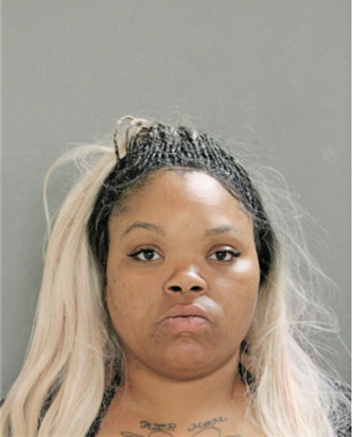 THERESA T DURDIN, Cook County, Illinois