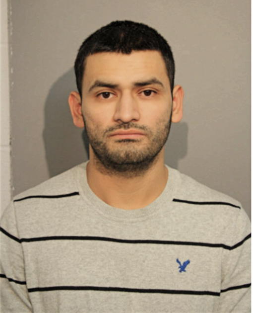 CARLOS M ECHEVERRIA, Cook County, Illinois