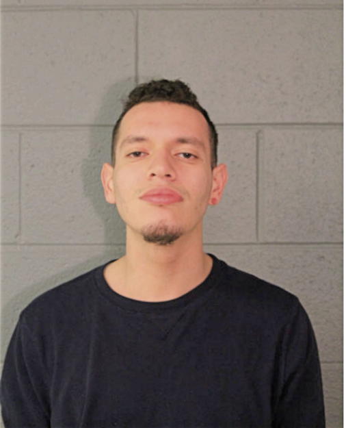 MATHEW FERNANDEZ, Cook County, Illinois