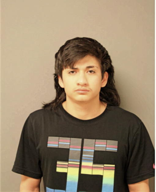 EDWARD FLORES, Cook County, Illinois