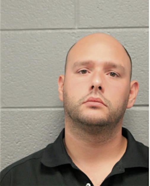 RAMON D GARCIA-CAMILO, Cook County, Illinois