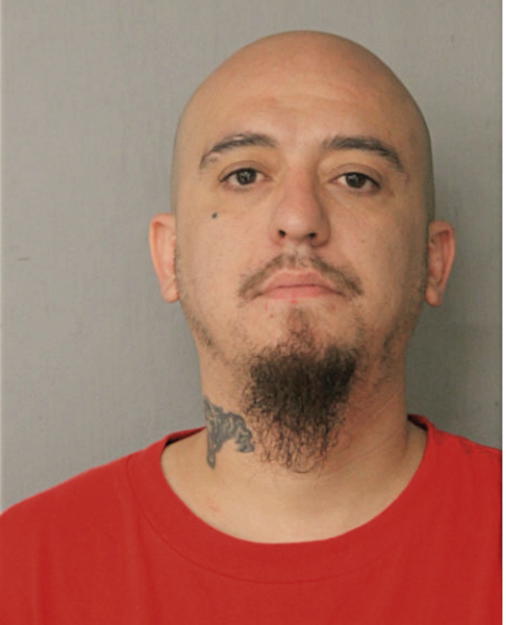 MICHAEL R GONZALEZ, Cook County, Illinois