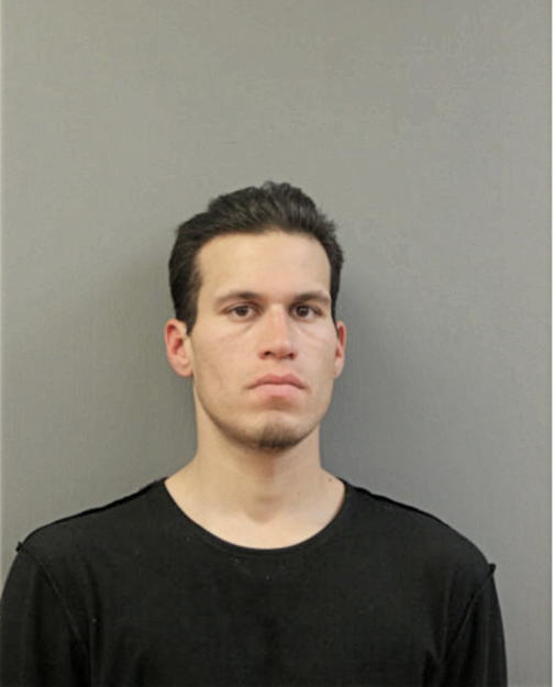 DAVID GURNEAU, Cook County, Illinois