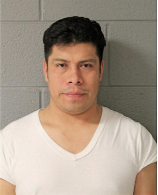 JACINTO TENZOHUA HERNANDEZ, Cook County, Illinois