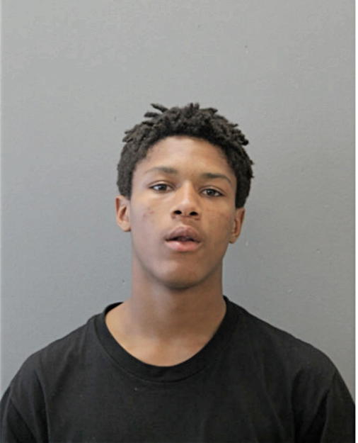 SHAWN D HIGGINS, Cook County, Illinois