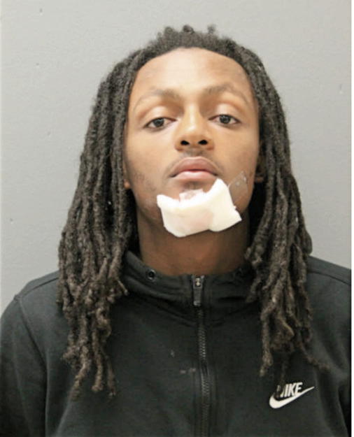 DOMINIQUE M LASENBY, Cook County, Illinois