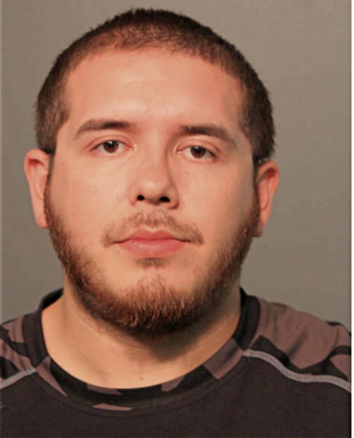 ALEJANDRO M MAGDALENO, Cook County, Illinois