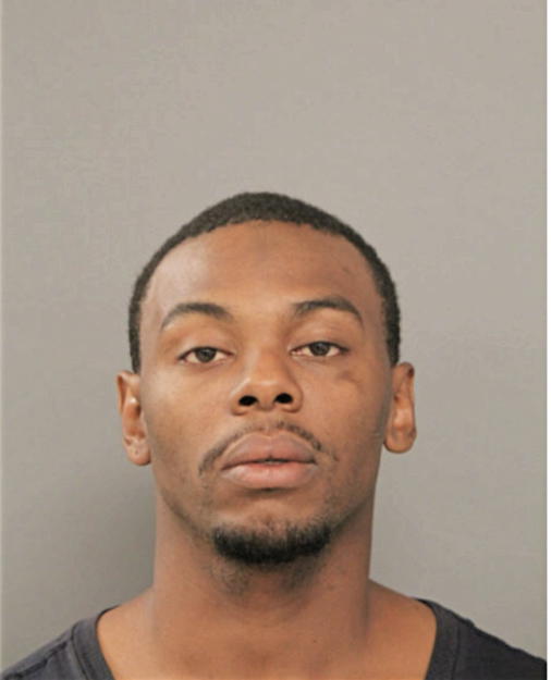 TERRELL D MATTHEWS, Cook County, Illinois