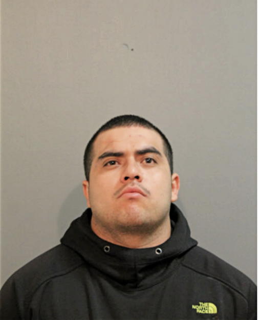 ARMANDO MEDINA, Cook County, Illinois