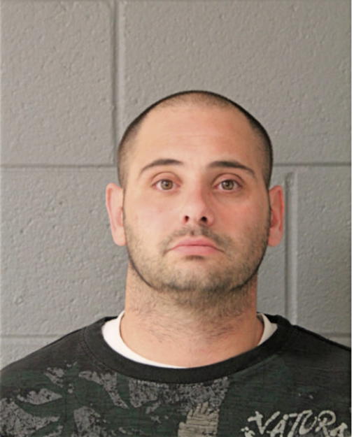 FRANK J MITILIERI, Cook County, Illinois