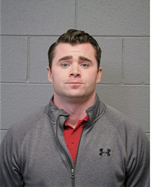 BRENDAN R NESTOR, Cook County, Illinois
