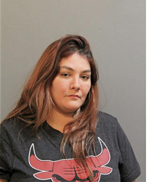 CYNTHIA M ORTEGA, Cook County, Illinois