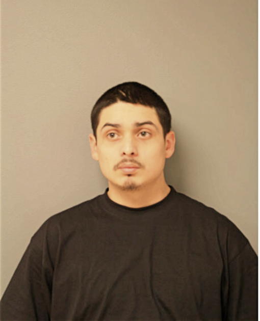 JOSE G PATINO, Cook County, Illinois