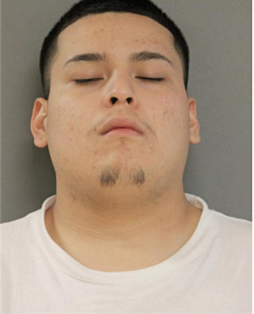 RAUL R PEREZ, Cook County, Illinois