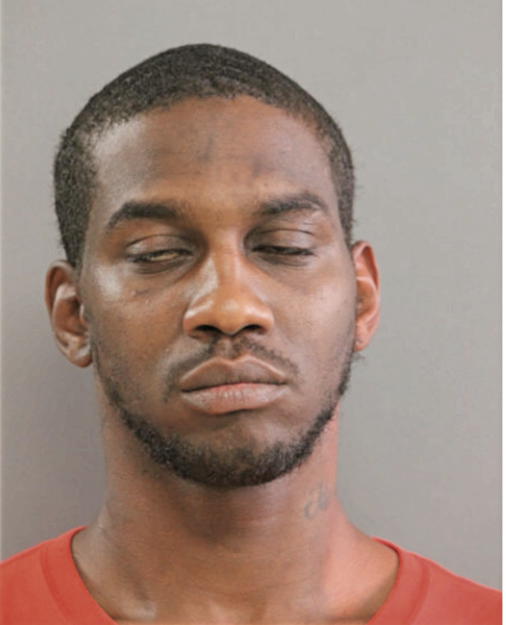 MICHAEL A RANDOLPH, Cook County, Illinois