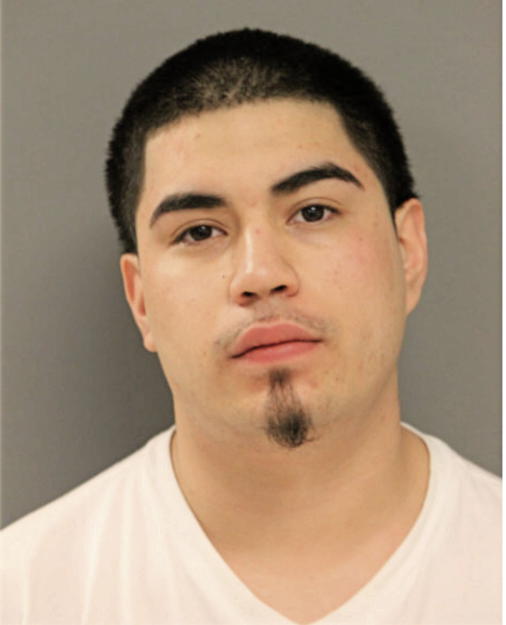 DANIEL RIVERA, Cook County, Illinois