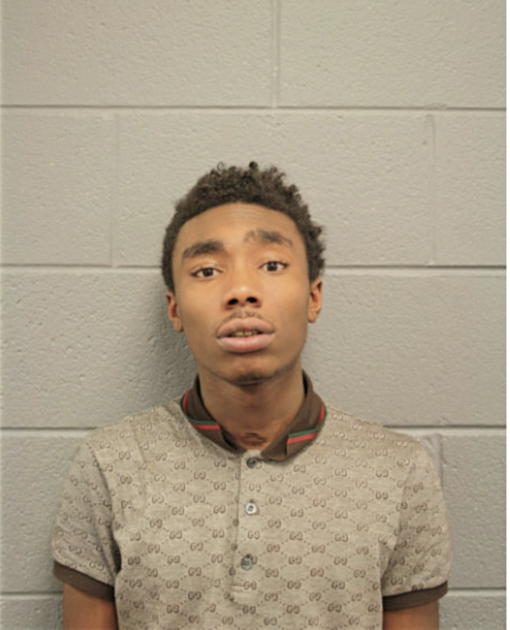 MAURICE L ROBINSON, Cook County, Illinois