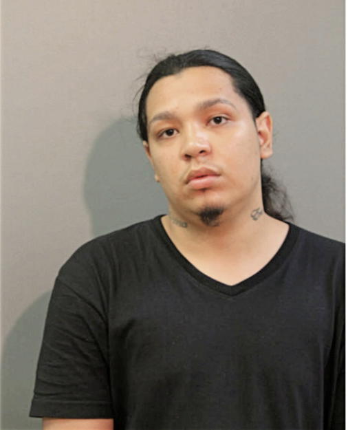 FRANCISCO E ROCHA, Cook County, Illinois