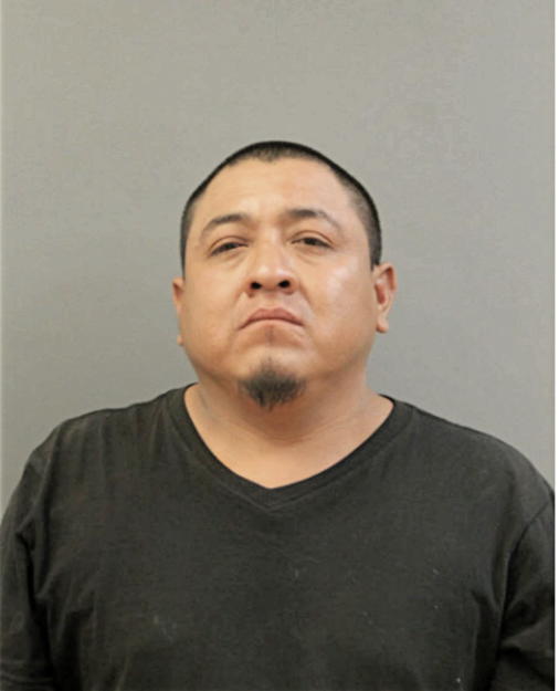 NOE RUBIO, Cook County, Illinois