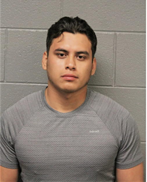 JOSE C SALGADO FLORES, Cook County, Illinois