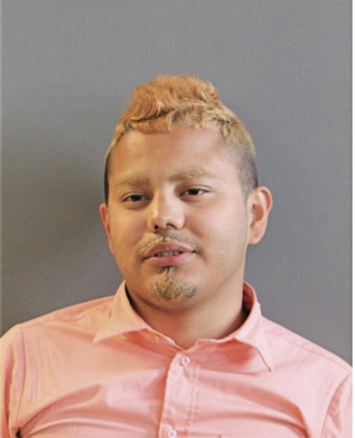 JULIAN M SANTIAGO, Cook County, Illinois