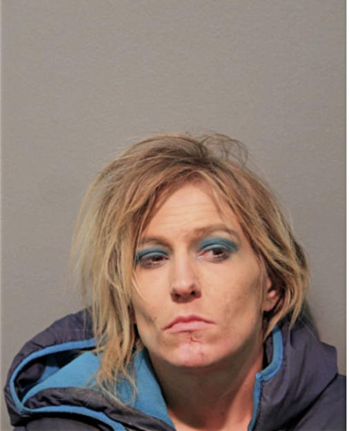 NICOLE L SNELSON, Cook County, Illinois
