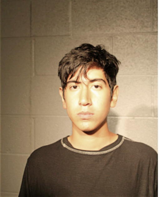 ANTONIO TORRES, Cook County, Illinois