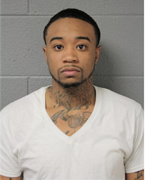 LARRY A WILLIAMS, Cook County, Illinois