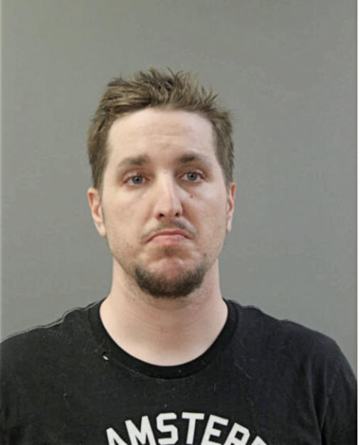ERIC E YOUNGBERG, Cook County, Illinois