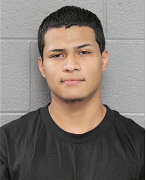 JOSE D ALVEREZ-NUNEZ, Cook County, Illinois
