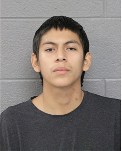 ULISES M AVELAR, Cook County, Illinois