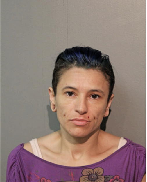 CYNTHIA CASTILLO, Cook County, Illinois