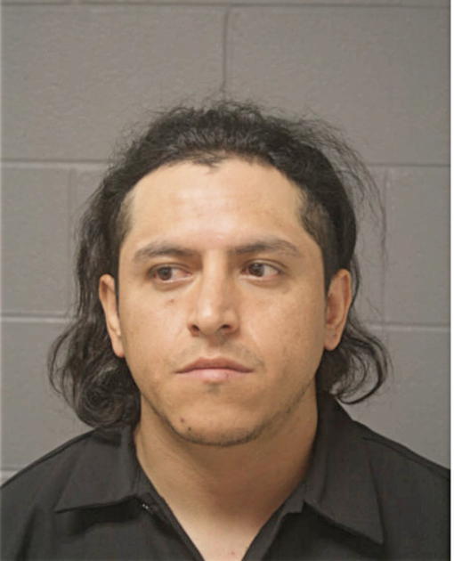 NOE A CRUZ, Cook County, Illinois