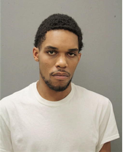 THEROUS G DAVIS, Cook County, Illinois